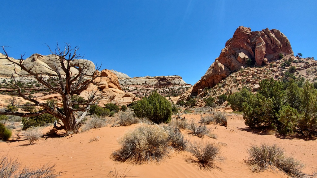 Many Sites Along the Burr Trail